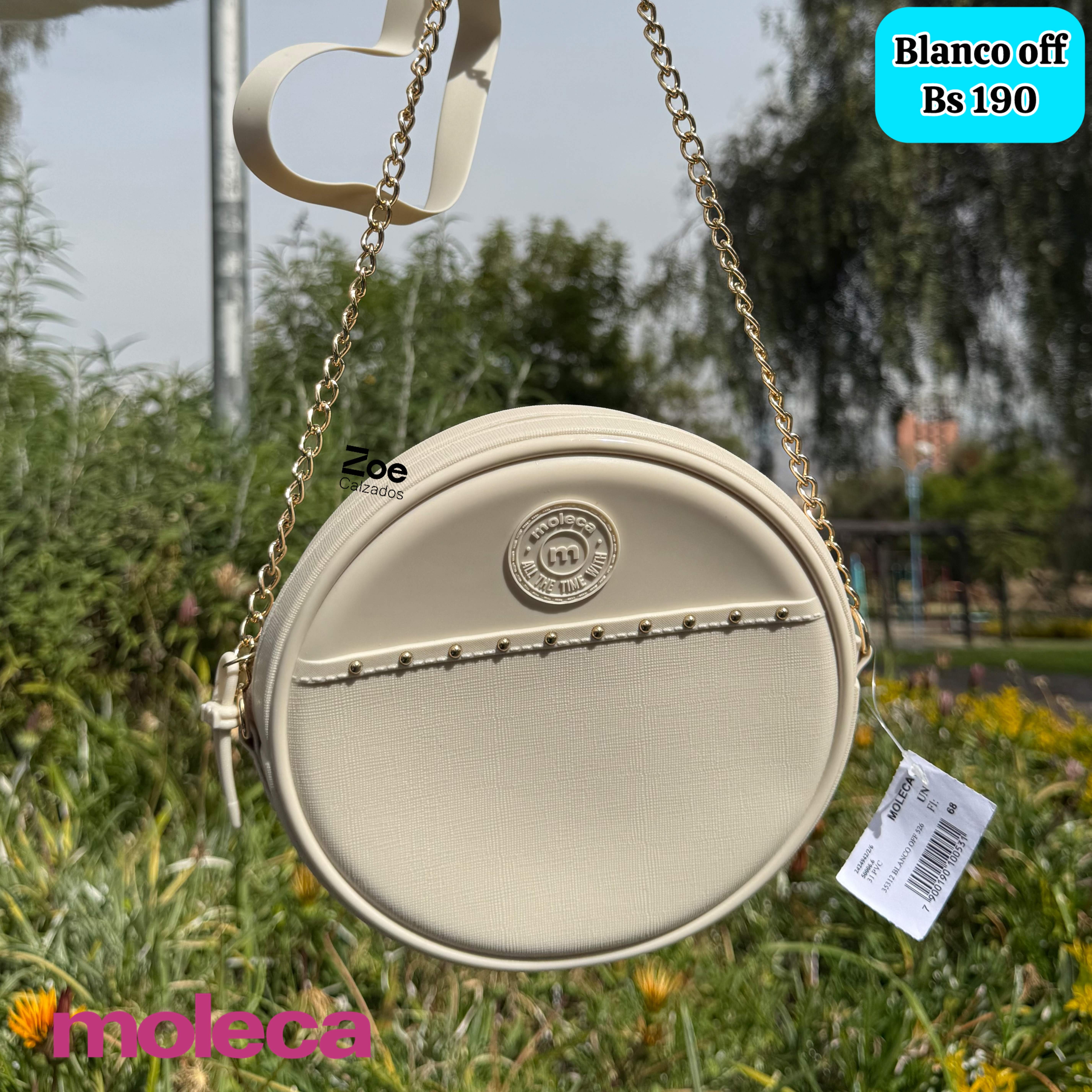 MOLECA CARTERA