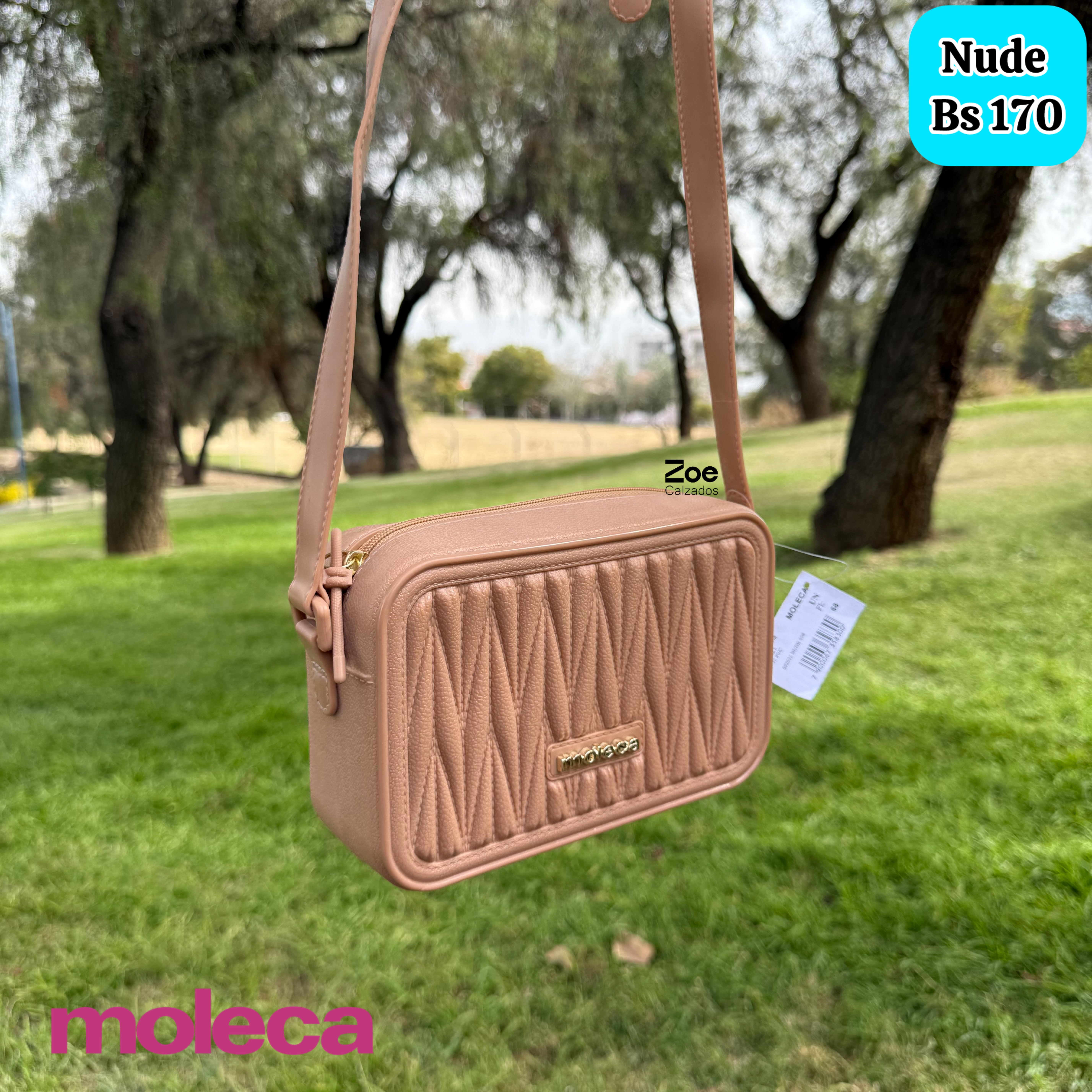MOLECA CARTERA