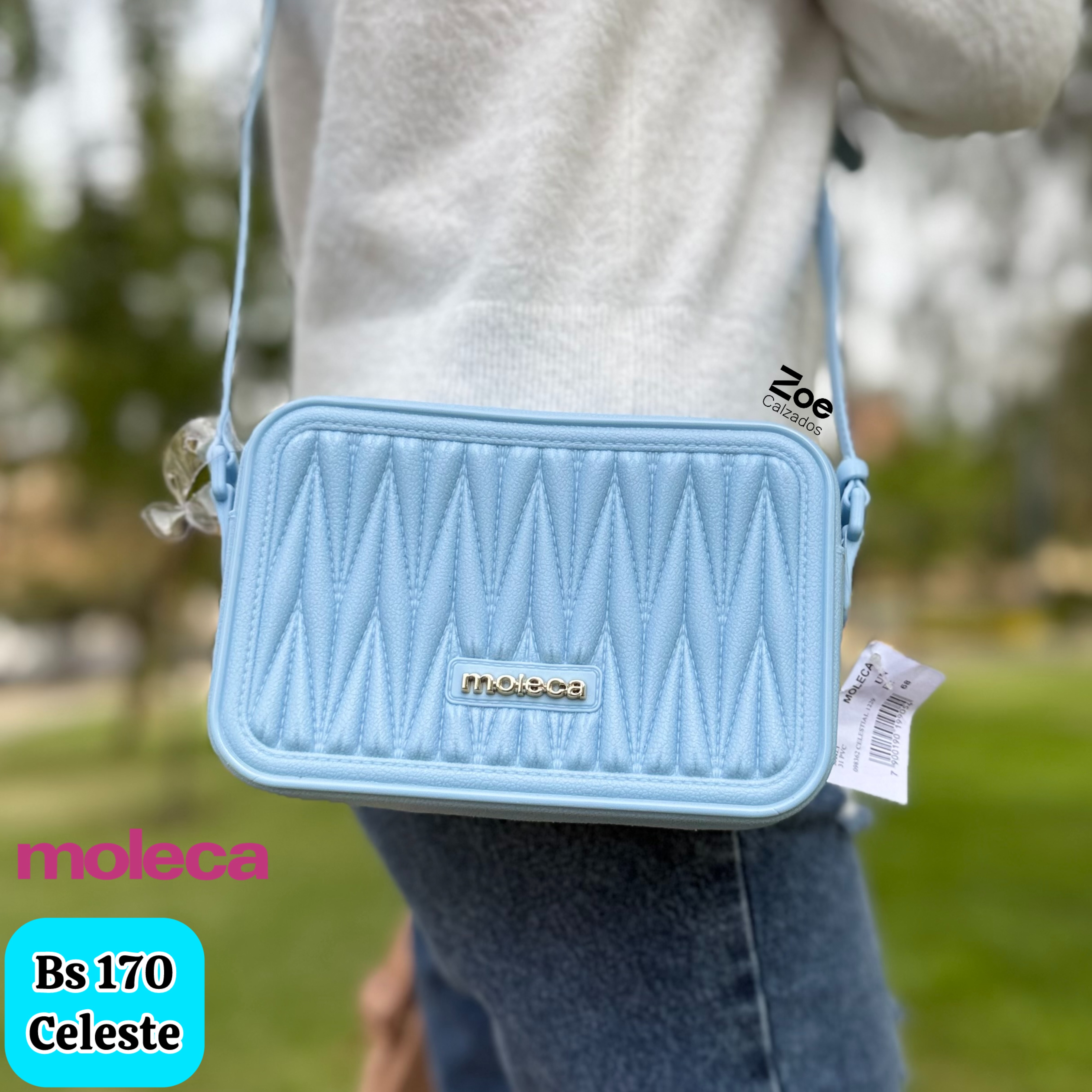 MOLECA CARTERA