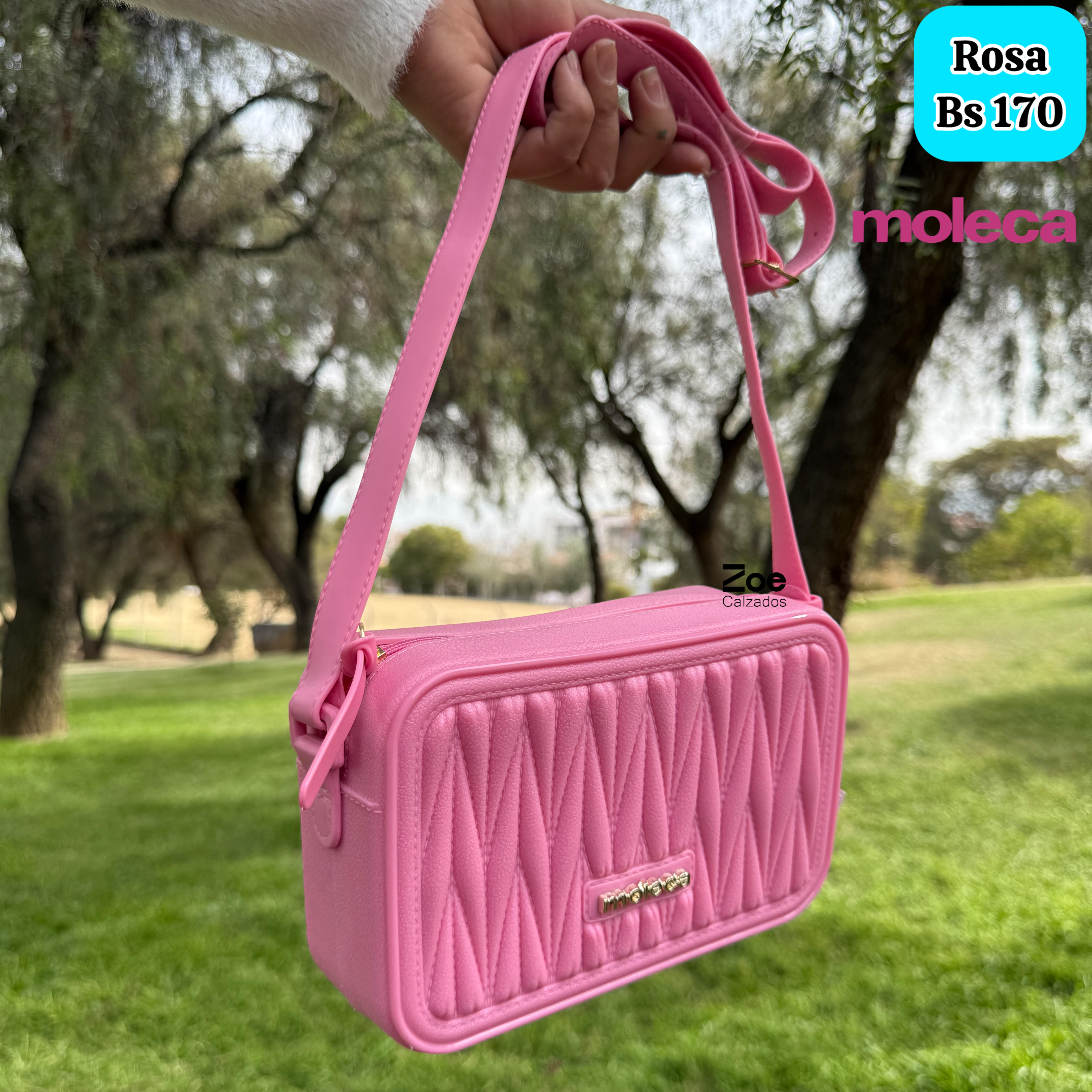 MOLECA CARTERA