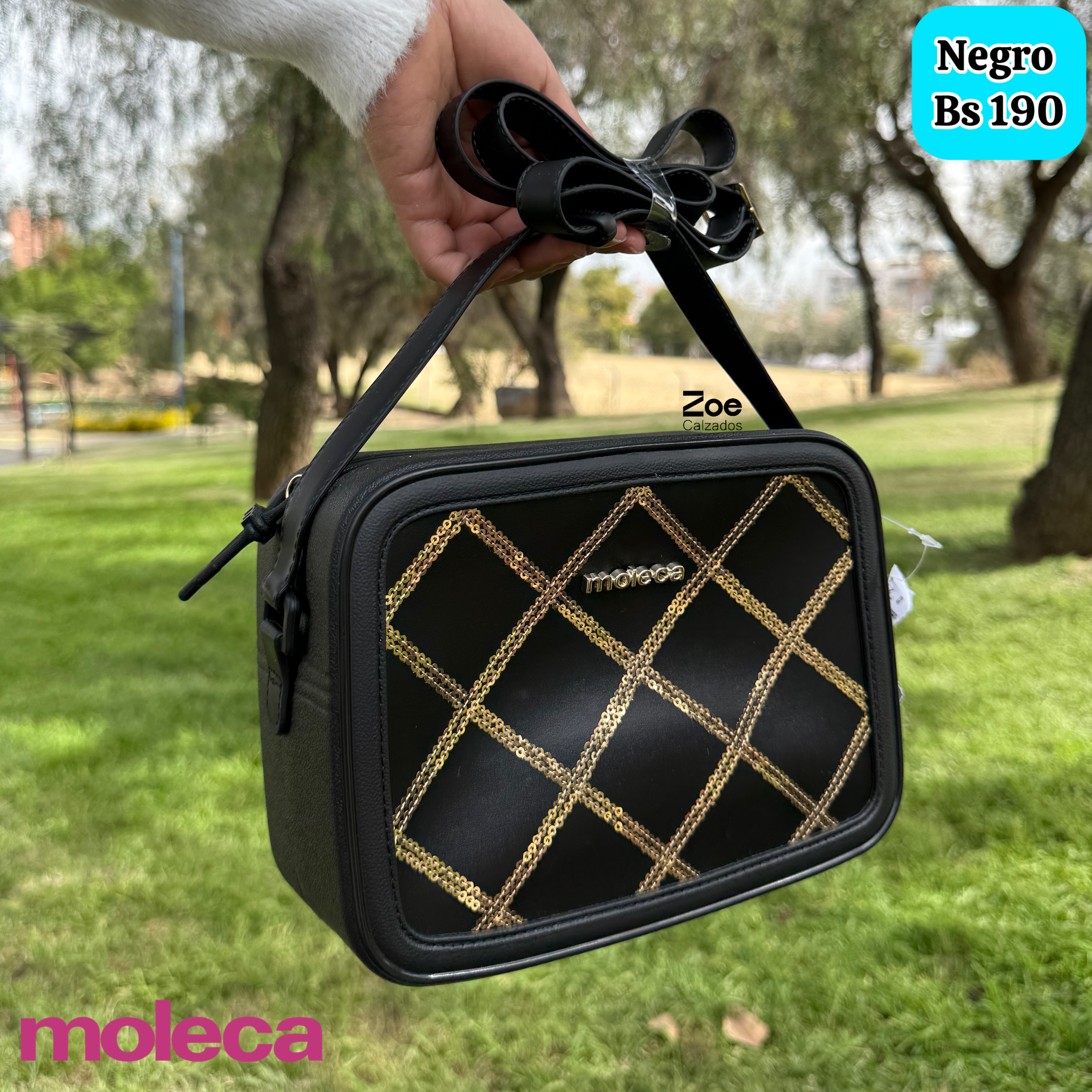 MOLECA CARTERA