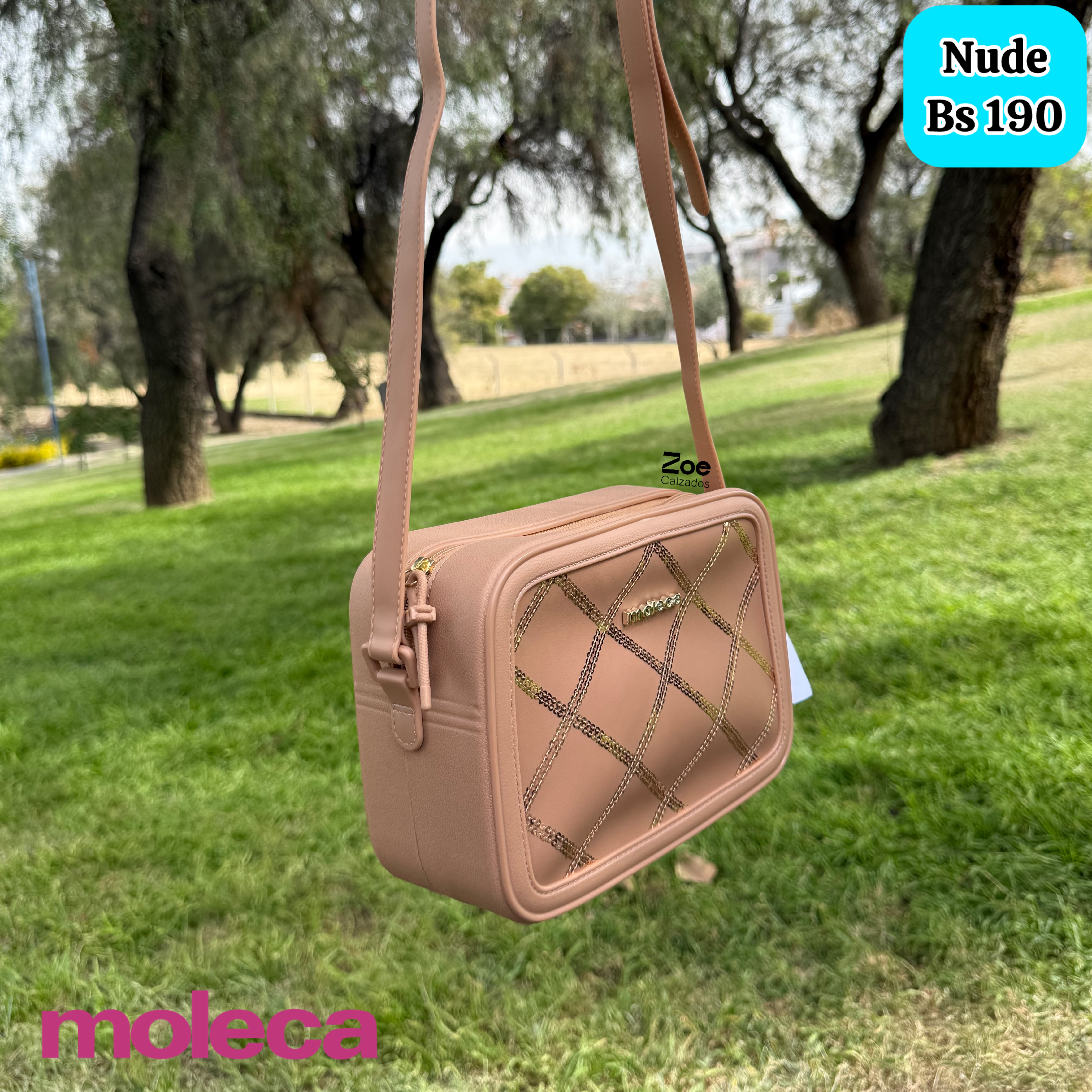 MOLECA CARTERA