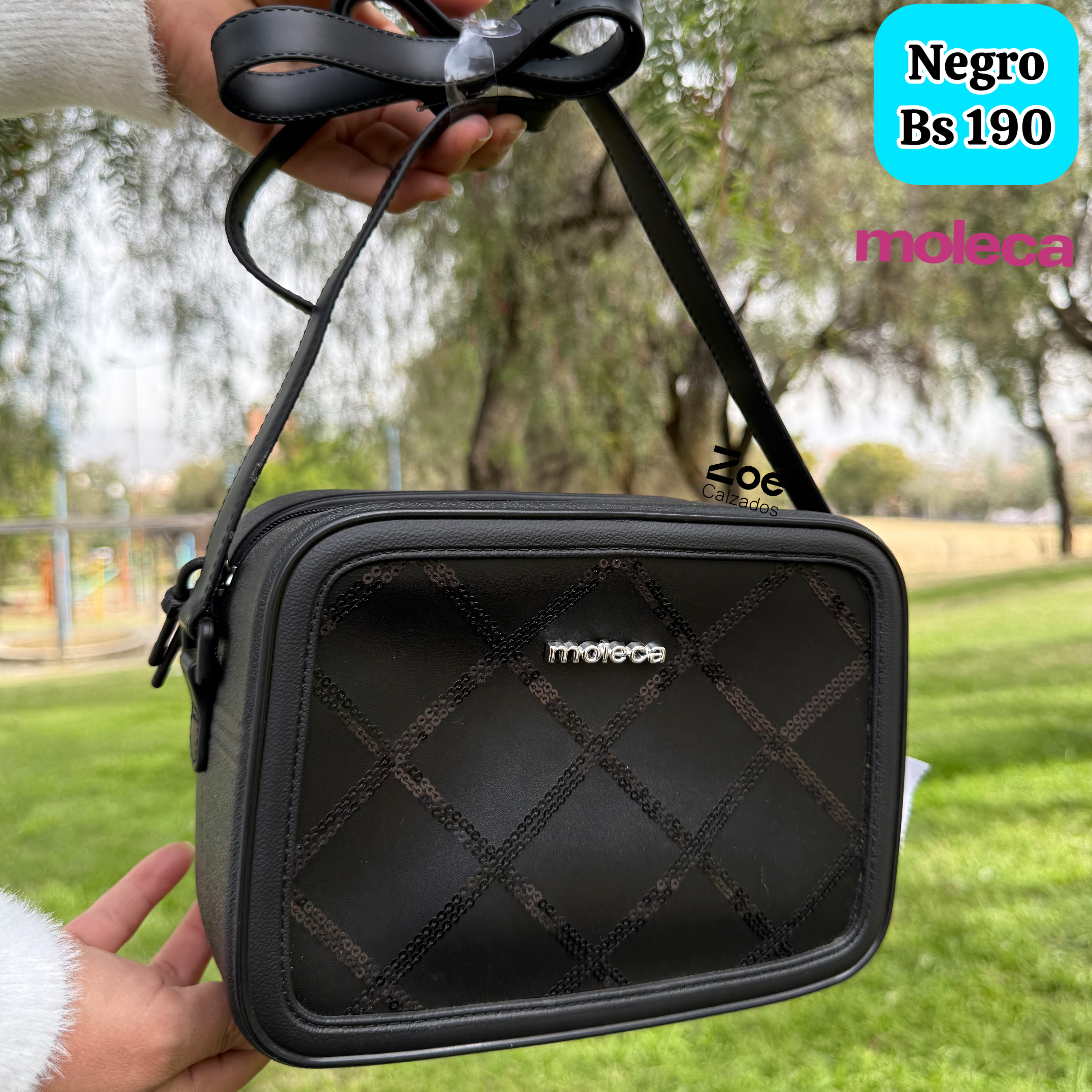 MOLECA CARTERA