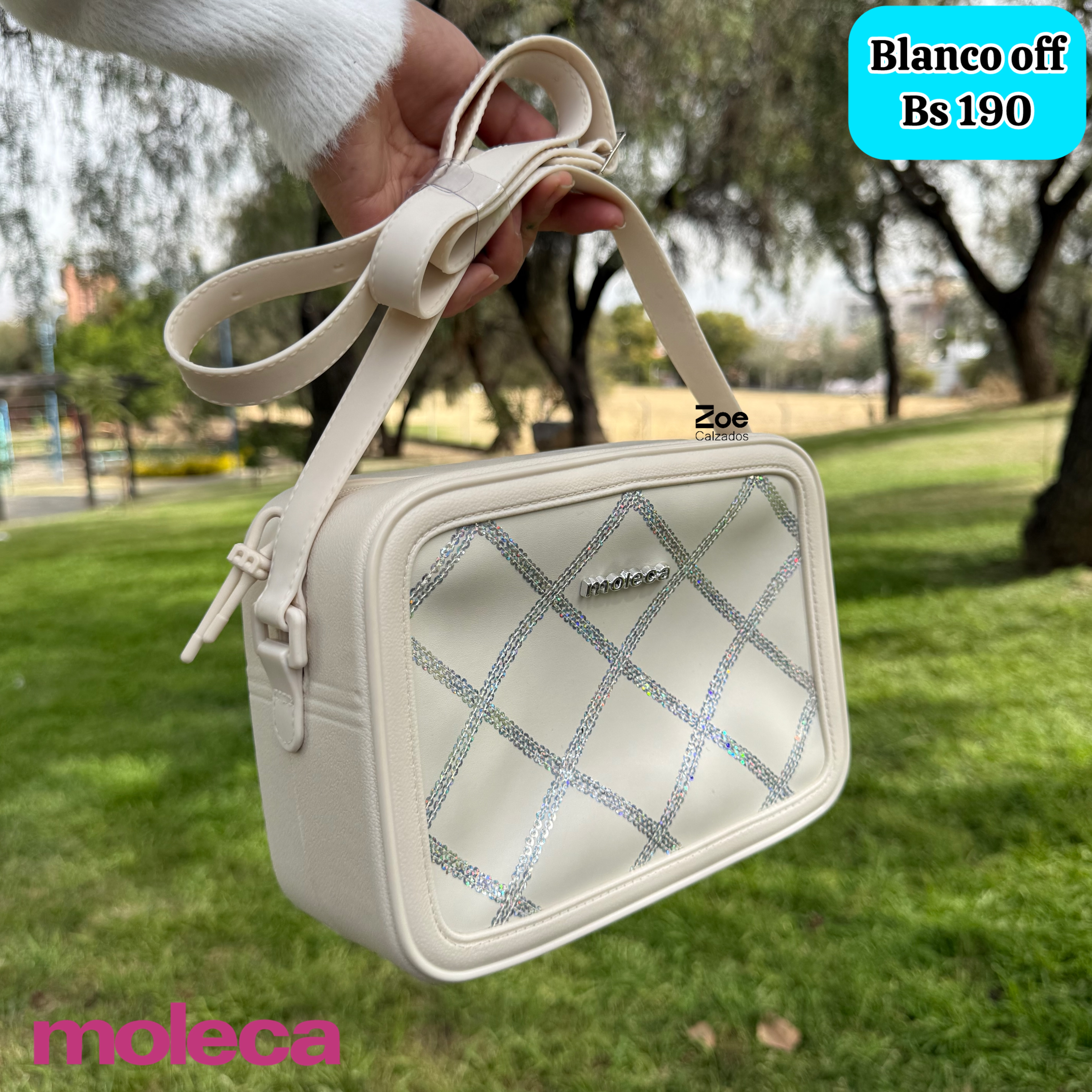 MOLECA CARTERA