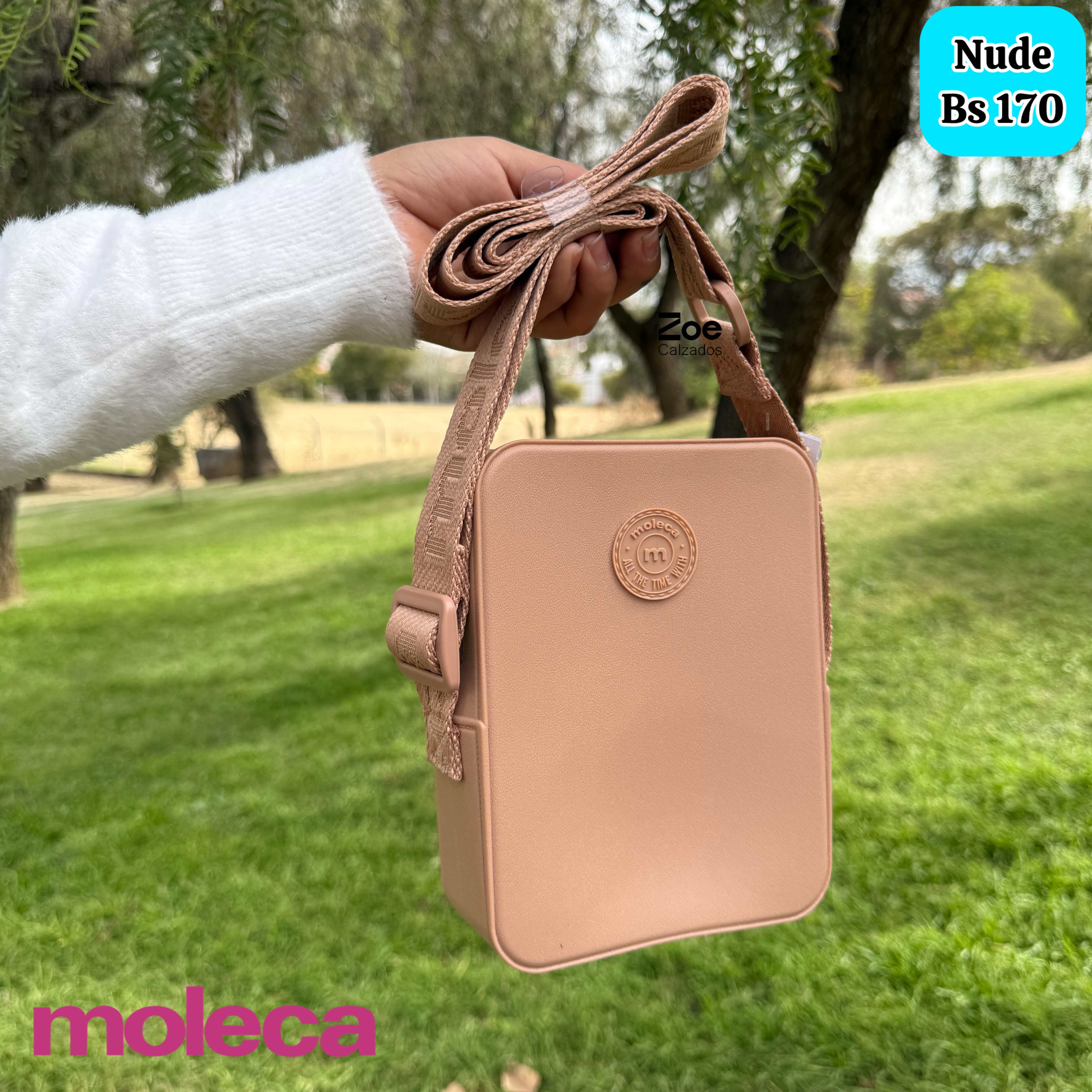 MOLECA CARTERA