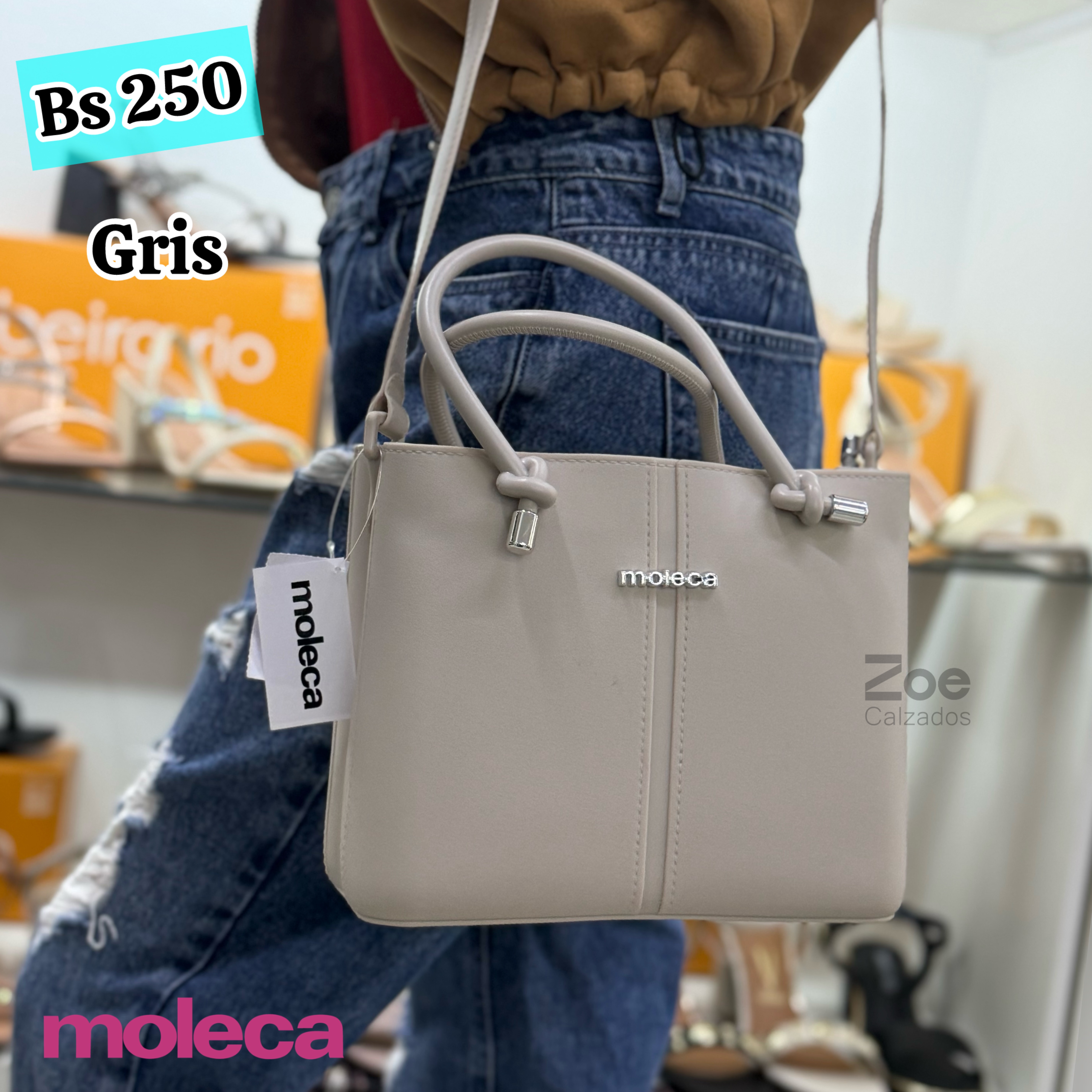 MOLECA CARTERA