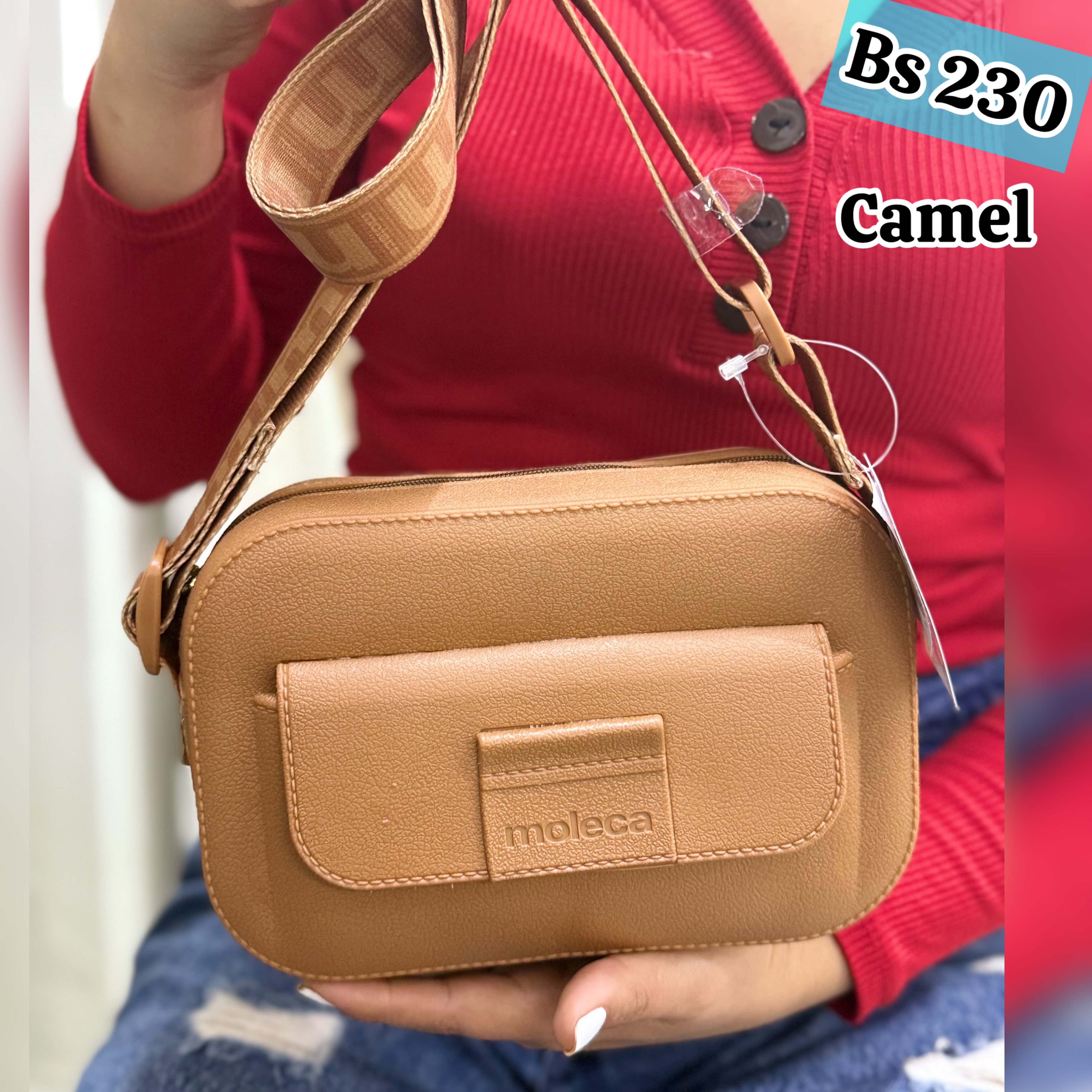 MOLECA CARTERA