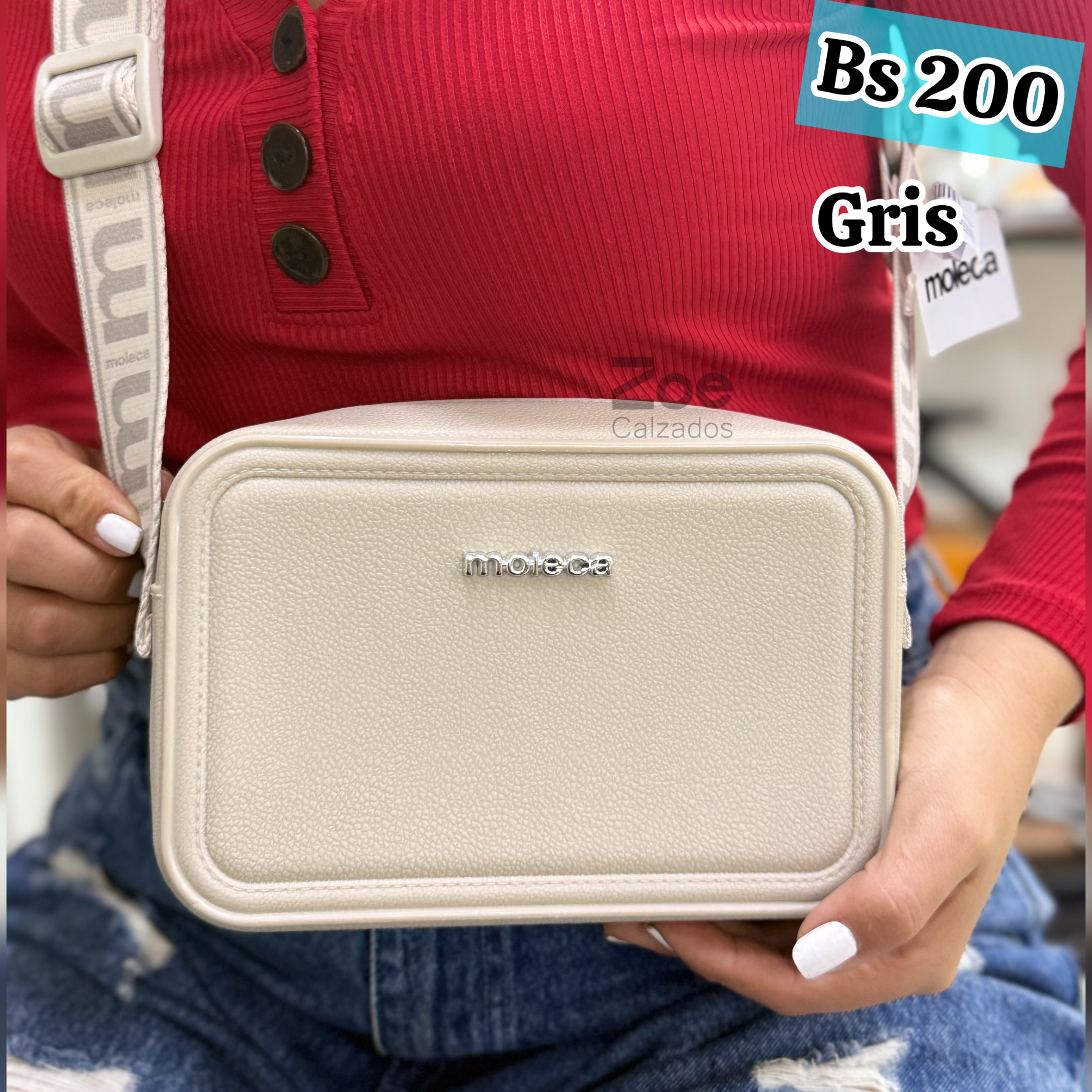 MOLECA CARTERA