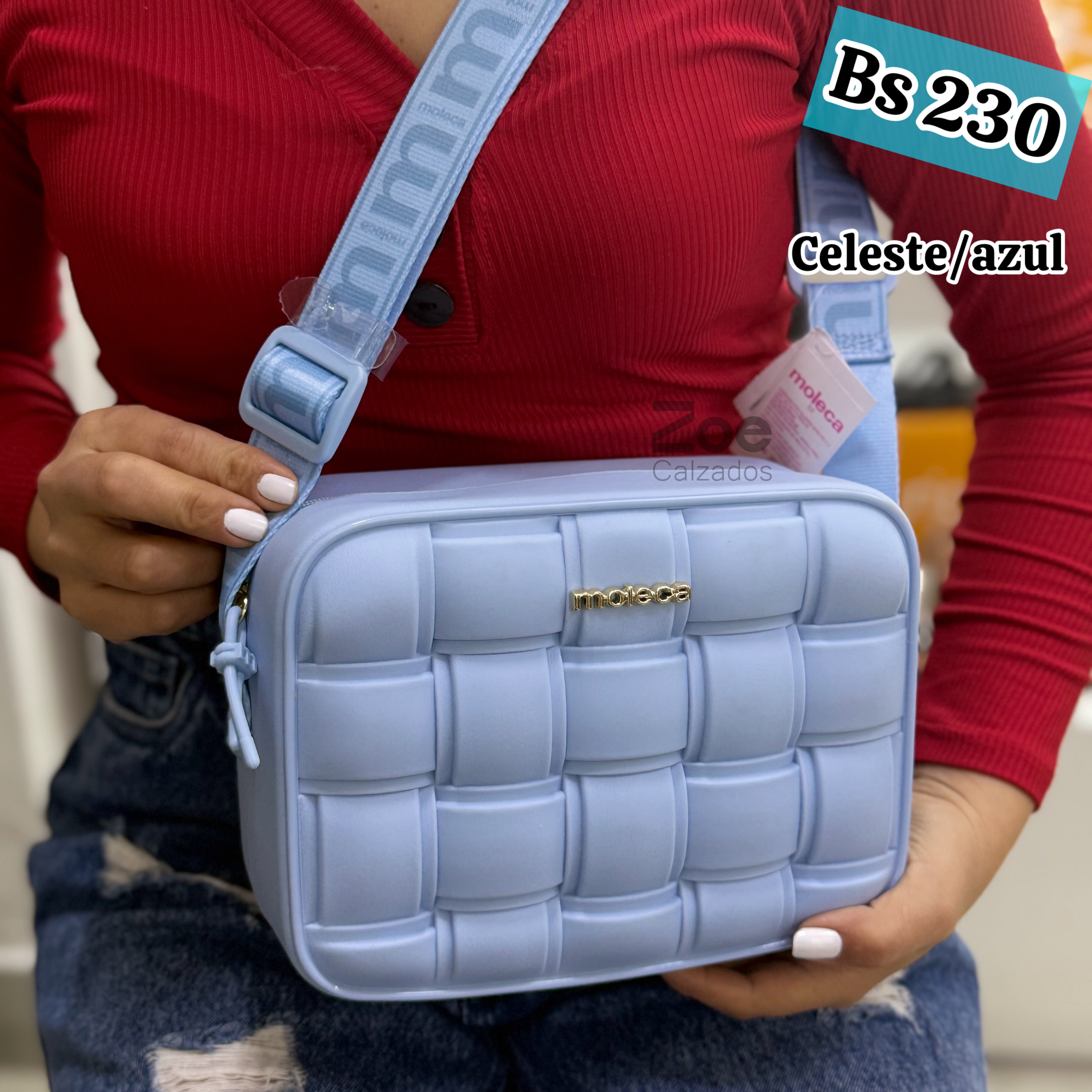 MOLECA CARTERA