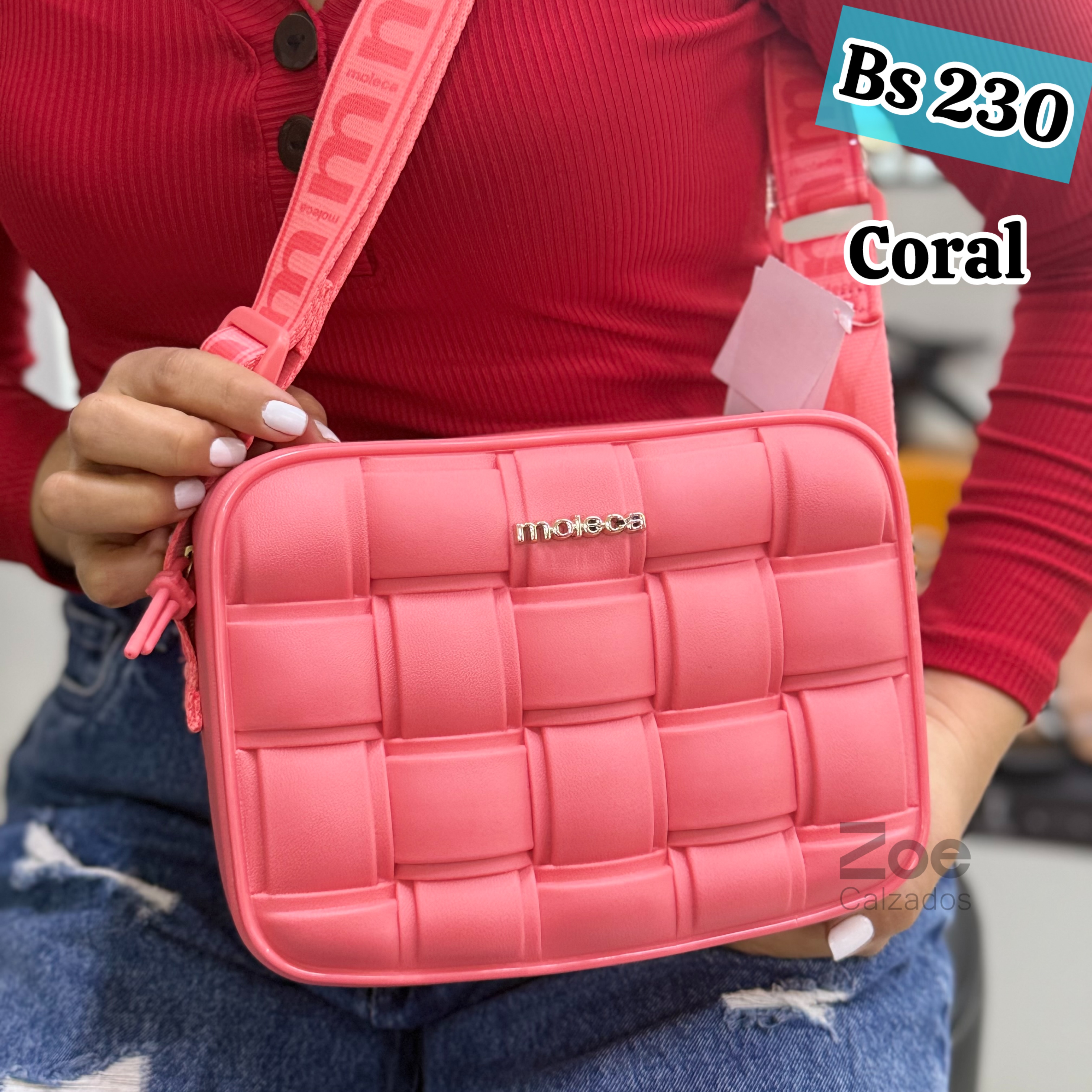 MOLECA CARTERA