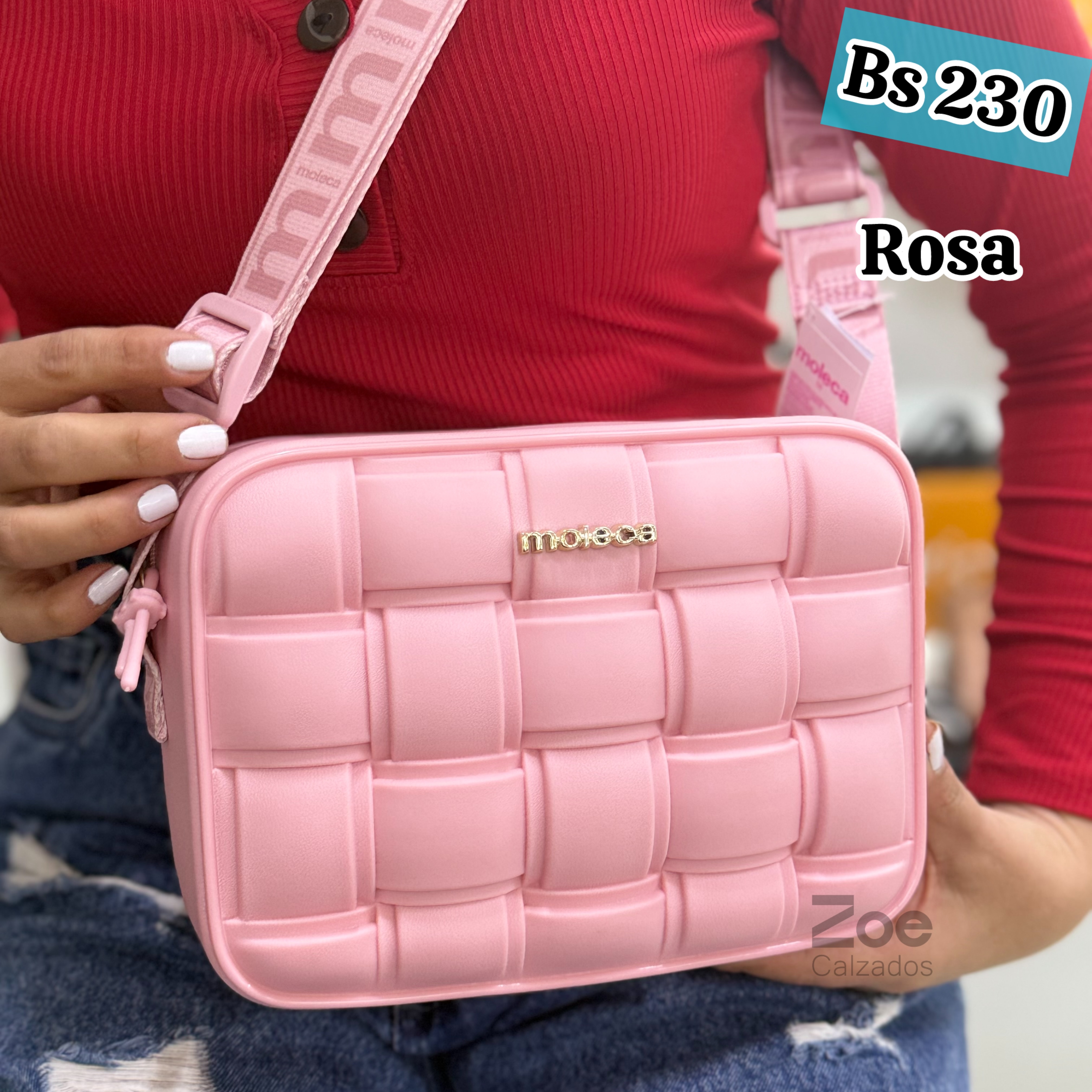 MOLECA CARTERA