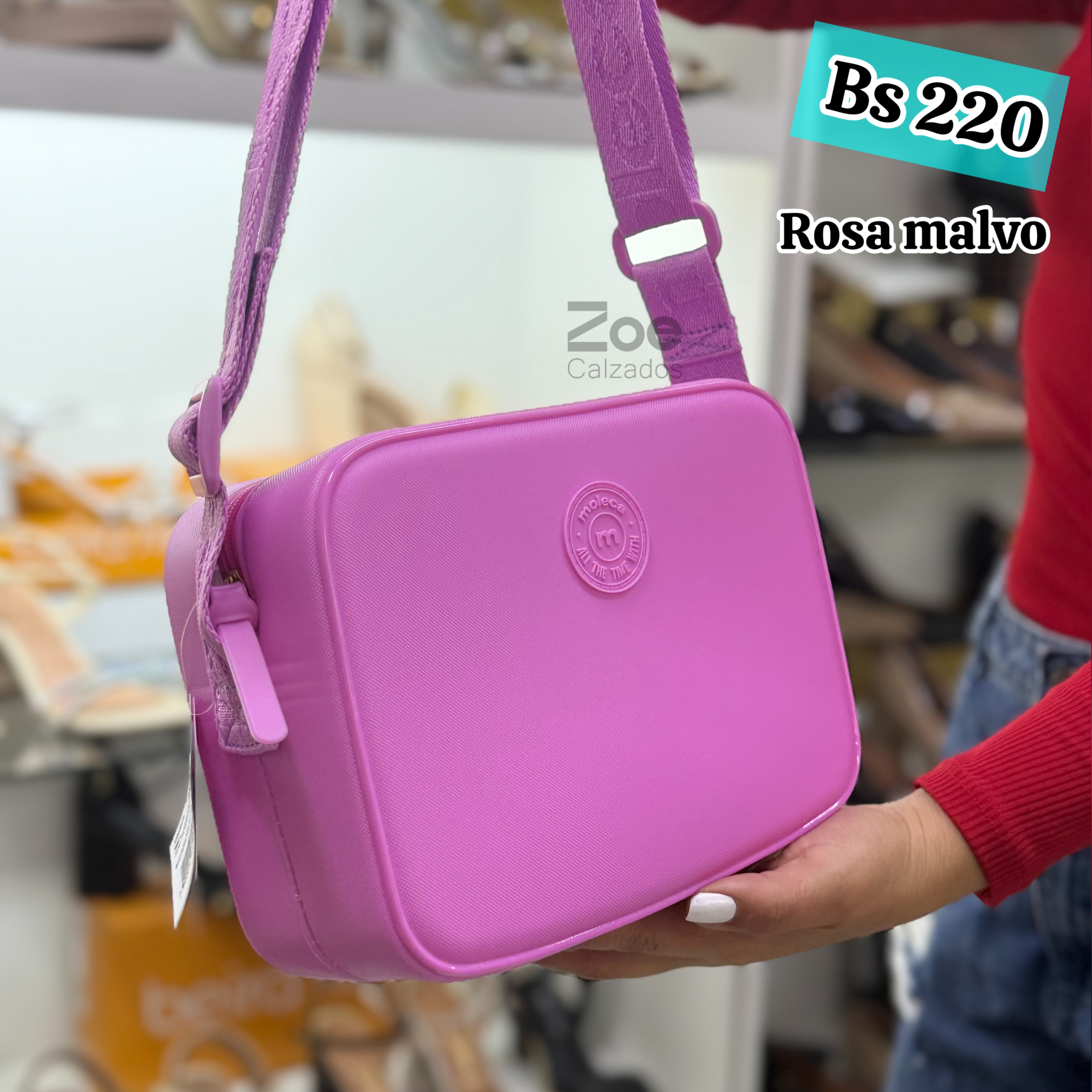 MOLECA CARTERA